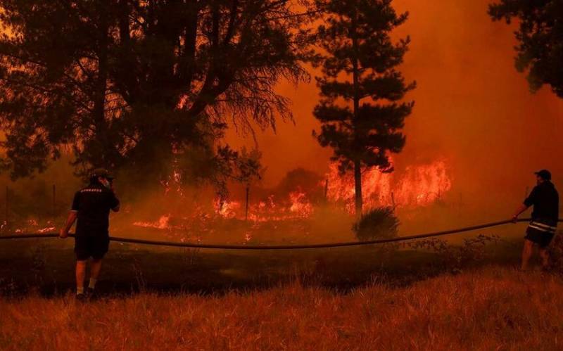 Çilidə dəhşətli meşə yanğınları - Azı 23 nəfər öldü