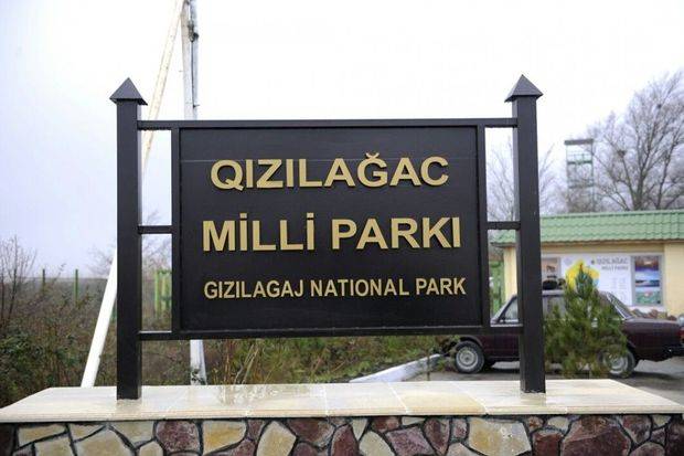 Qızılağac Milli Parkında 5500 metrdən çox sintetik tor aşkarlandı