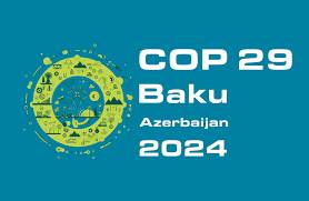 COP29 viza müraciət sistemi yaradıldı