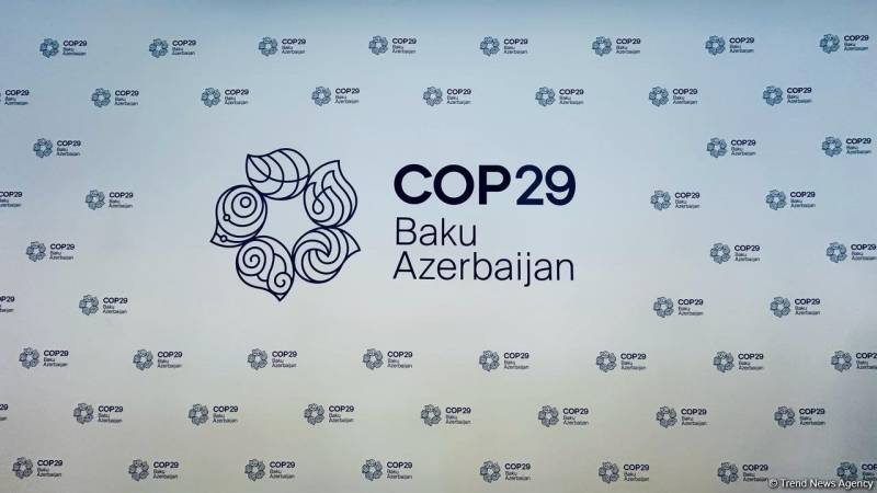 COP29 könüllüləri İçərişəhərdə ekoloji aksiya təşkil etdi 