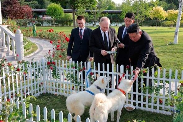 Putinə ov iti hədiyyə etdi - FOTO