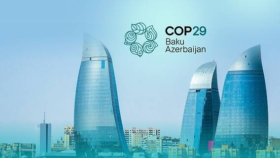 COP29 məkanında su canlıları ilə bağlı sərgi açıldı - FOTOLAR