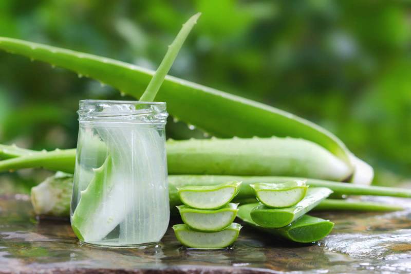 Aloe vera suyunun 5 möcüzəvi faydası