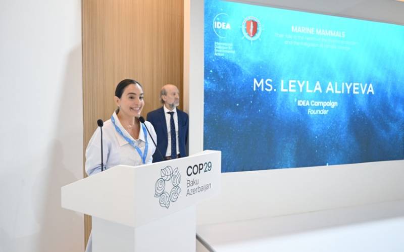 Leyla Əliyeva COP29 çərçivəsində müzakirələrdə iştirak etdi - FOTO