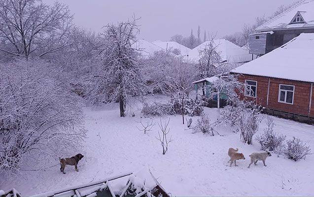 Bu rayonumuza 18 sm qar yağdı 