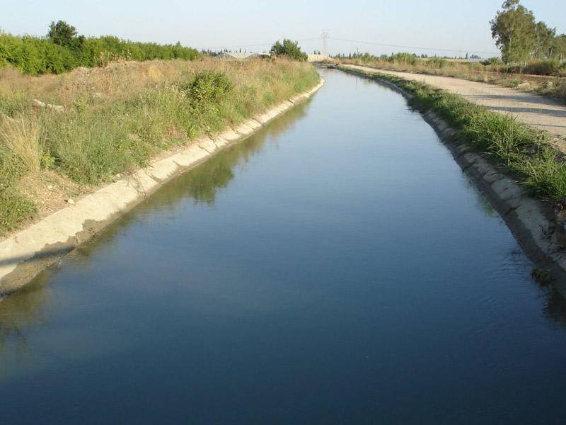 15 yaşlı Sevincin qətlində şübhəli bilinirdi: Meyiti tapıldı - FOTO