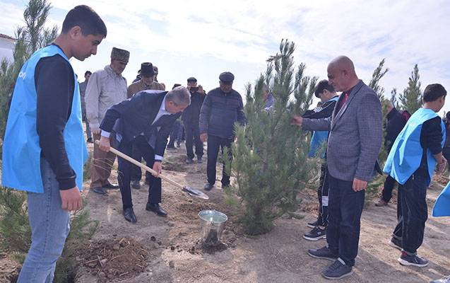 Süleyman Mikayılov növbəti ağacəkmə aksiyasında - FOTOLAR