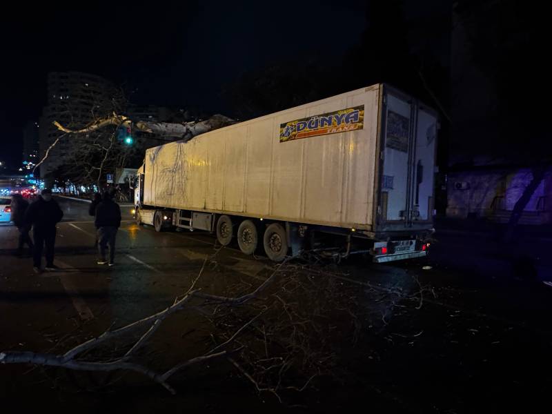 Yük avtomobilinin ağaca dəyməsi nəticəsində sıxlıq yarandı - Fotolar