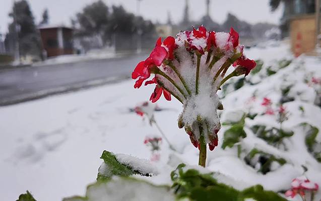 Şaxtalı hava davam edir 