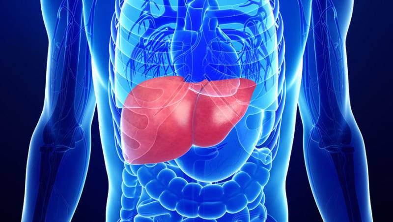 Hepatin C-nin yeni müalicə metodu tapıldı