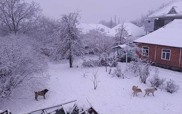 Bu rayonlara qar yağdı 