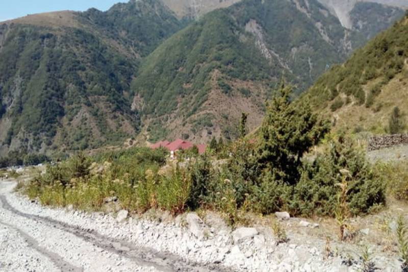 Zaqatala sakini yüksək dağlıq ərazidə ölü tapıldı 